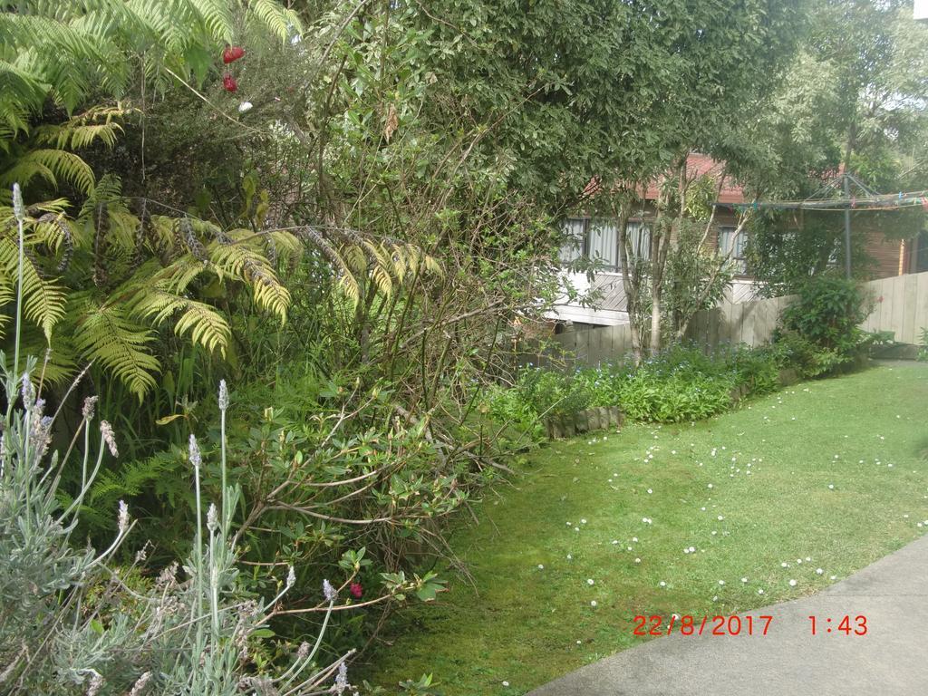 The Haven B & B Auckland Exteriér fotografie